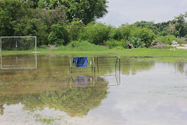 練重心轉向 練重心轉向