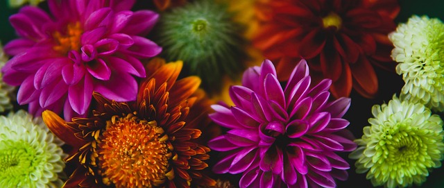 凭借自己独 凭借自己独