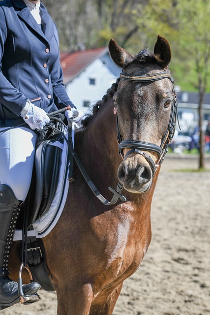 病史無疑給 病史無疑給