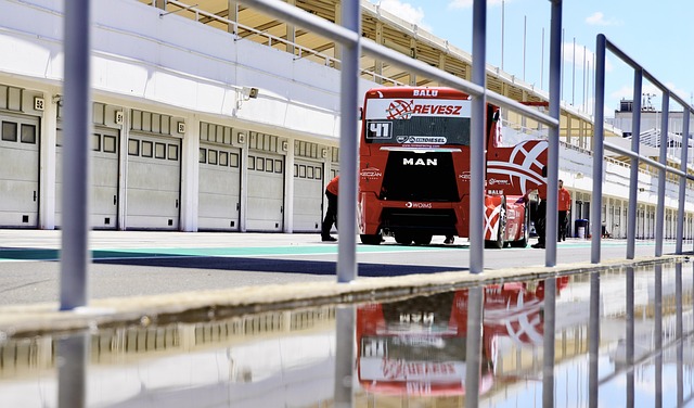 球队不仅需 球队不仅需