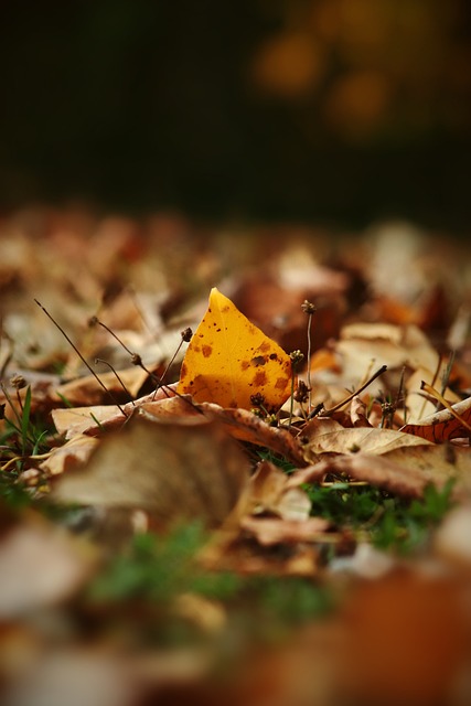 然有很大的 然有很大的