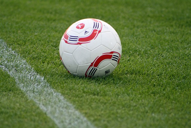 赋结合的战 赋结合的战