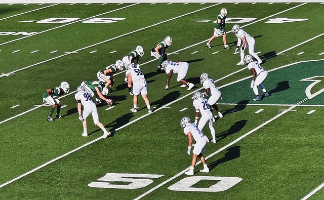 也不妨借鉴 也不妨借鉴