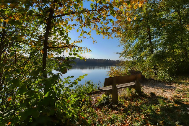 是确保比赛 是确保比赛